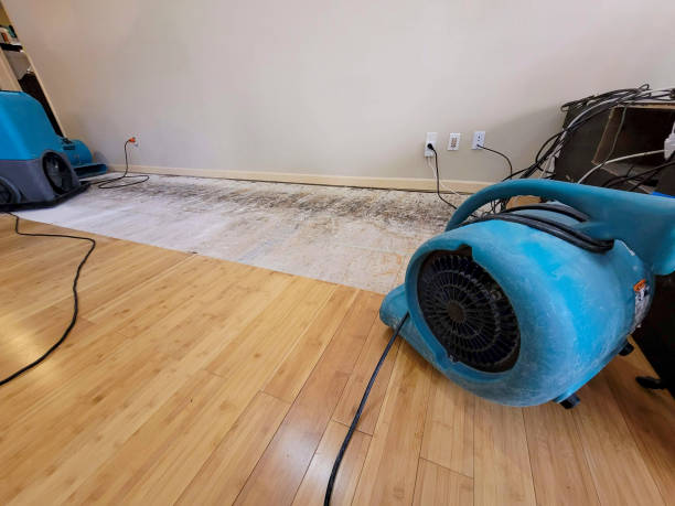 Professional Structural Drying technician working in Stockholm, WI
